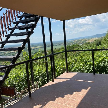 Feher Szolo Vendeghaz Sátoraljaújhely Buitenkant foto