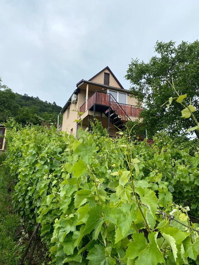 Feher Szolo Vendeghaz Sátoraljaújhely Buitenkant foto